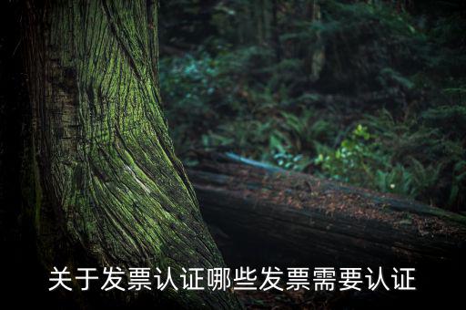發(fā)票通過(guò)什么認(rèn)證嗎，關(guān)于發(fā)票認(rèn)證哪些發(fā)票需要認(rèn)證