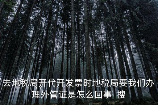 為什么要開(kāi)電子外管證，像您咨詢一下關(guān)于外管證的事宜我前一陣開(kāi)了外管證您說(shuō)是避免