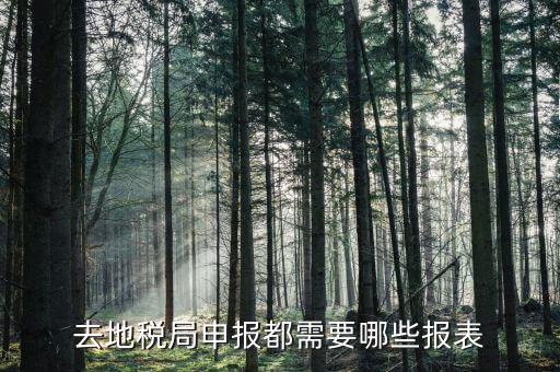 什么情況需要稅務(wù)申報表，納稅申報需提供哪些會計報表