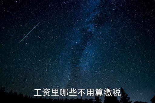什么所得不用上稅，哪些類型的工資薪金所得不用納稅