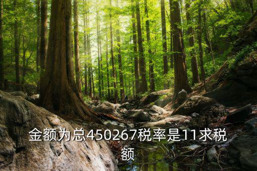 11 是什么稅率，招標(biāo)文件稅率為人工費(fèi)11是什么意思
