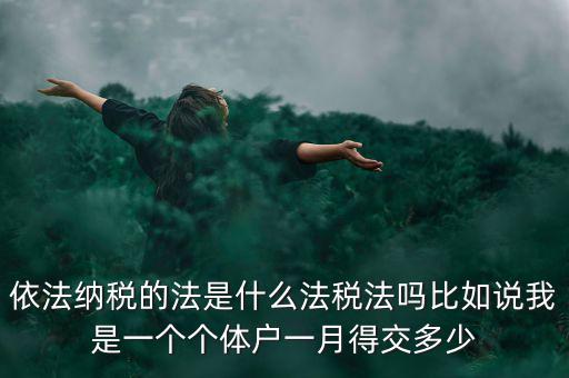 什么是依法納稅人，依法納稅的法是什么法稅法嗎比如說我是一個(gè)個(gè)體戶一月得交多少