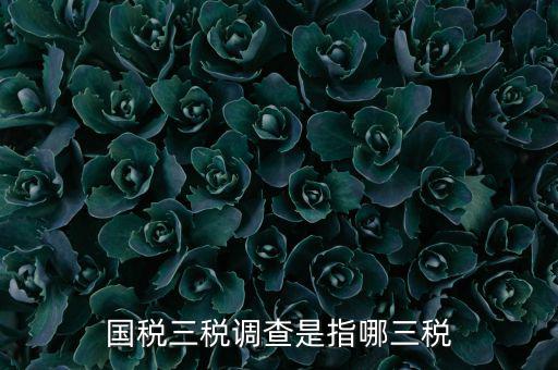 全國稅收調(diào)查是什么，全國稅收調(diào)查表中審核公式IFXXBB8 1 XXBB8 4