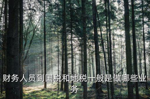 國稅地稅有什么工作，地稅工作人員有哪些職務(wù)