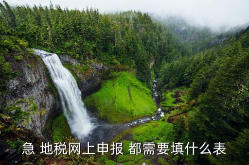 稅務(wù)申報(bào)表用什么填置，怎么填寫(xiě)稅務(wù)申請(qǐng)表