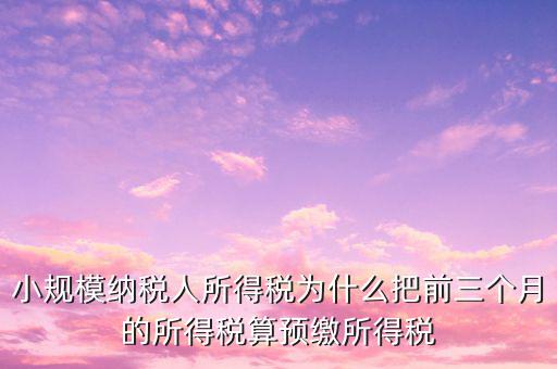 為什么會有預(yù)繳所得稅，我企業(yè)是今年1月被稅局核定按收入繳納企業(yè)所得稅 為什么第一季度報