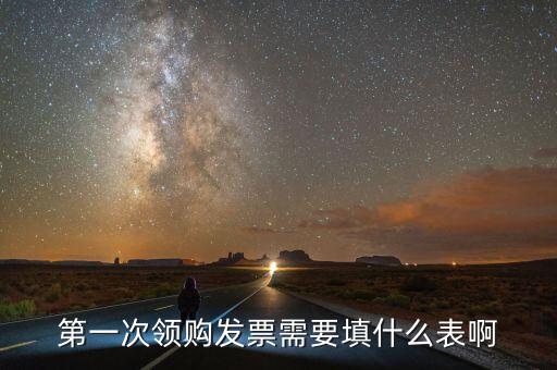 領(lǐng)發(fā)票去要填寫什么表，一般納稅人第一次領(lǐng)取發(fā)票時(shí)填什么表