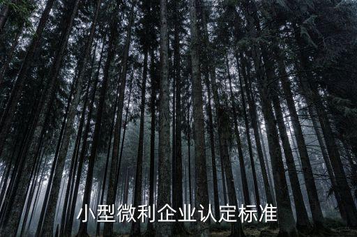 小型微利企業(yè)認定標(biāo)準(zhǔn)