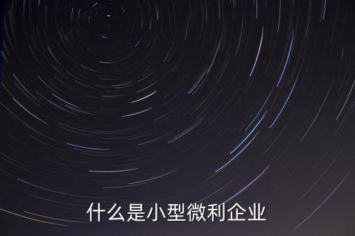 什么是小型微利，什么是小型微利企業(yè)收入從業(yè)人員其它條件