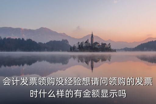 發(fā)票領用單是什么樣的，會計發(fā)票領購沒經(jīng)驗想請問領購的發(fā)票時什么樣的有金額顯示嗎