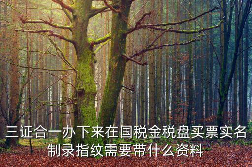 三證合一辦下來(lái)在國(guó)稅金稅盤買票實(shí)名制錄指紋需要帶什么資料