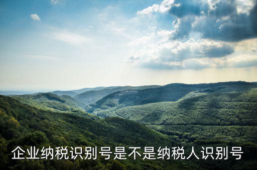 公司納稅識別號是什么，納稅人識別號是什么