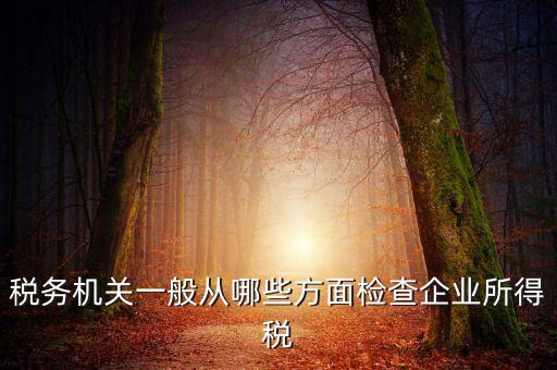 稅務(wù)機關(guān)一般從哪些方面檢查企業(yè)所得稅
