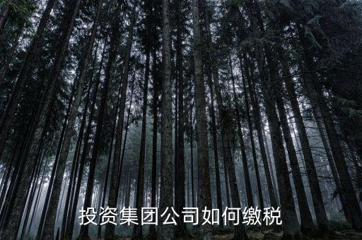 投資公司交什么稅2017，投資集團公司如何繳稅