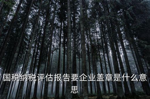 稅務(wù)國別報(bào)告是什么意思，國稅納稅評(píng)估報(bào)告要企業(yè)蓋章是什么意思