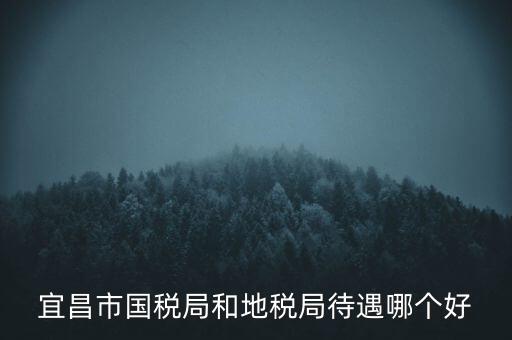 宜昌市國稅局和地稅局待遇哪個(gè)好