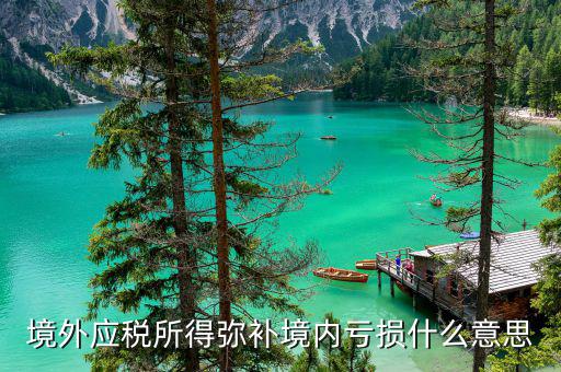 境外所得是什么意思，境外應稅所得彌補境內虧損什么意思