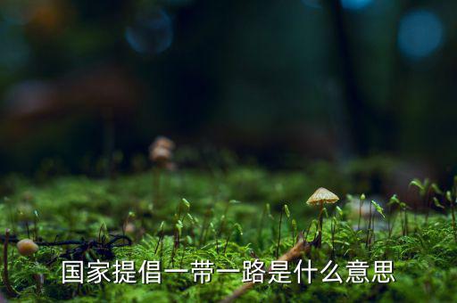 國稅一帶一路什么意思，一帶一路指什么意思