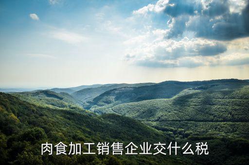 賣肉類交什么地稅，批發(fā)肉類的稅是多少