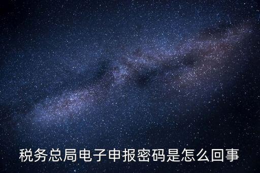 網(wǎng)上如何申報(bào)國(guó)稅密碼是什么原因，網(wǎng)上報(bào)稅 報(bào)稅密碼是什么
