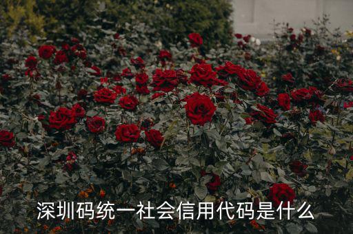 統(tǒng)一社會(huì)信用代碼指什么影響，深圳碼統(tǒng)一社會(huì)信用代碼是什么
