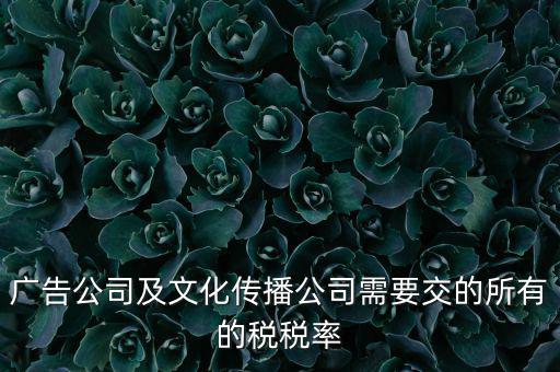廣告公司需要交什么稅，廣告公司及文化傳播公司需要交的所有的稅稅率