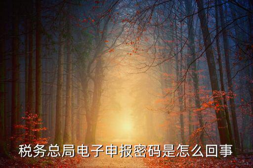 山東國(guó)稅登錄密碼是什么意思，使用過(guò)的帳號(hào)登錄密碼是什么意思