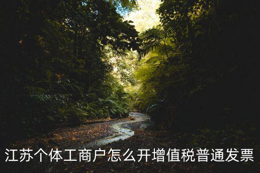 江蘇個(gè)體工商戶怎么開增值稅普通發(fā)票