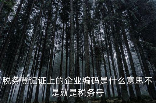 稅務(wù)編碼是什么意思，稅務(wù)登記證上的企業(yè)編碼是什么意思不是就是稅務(wù)號(hào)