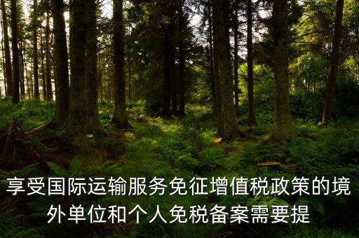 享受?chē)?guó)際運(yùn)輸服務(wù)免征增值稅政策的境外單位和個(gè)人免稅備案需要提