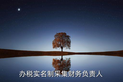什么是實名辦稅，辦稅實名制采集財務負責人