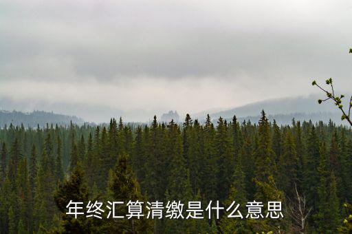 什么是企業(yè)匯算清繳，為什么年底要進(jìn)行企業(yè)所得匯算清繳