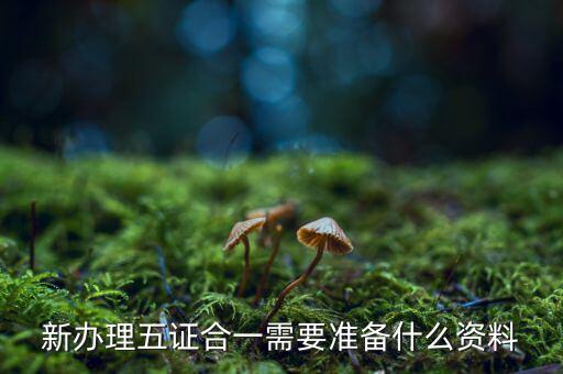 稅務(wù)五證合一需要什么資料，五證合一后稅務(wù)變更需要什么資料