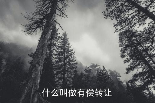 有償轉(zhuǎn)移安置什么意思，有償轉(zhuǎn)發(fā)什么意思