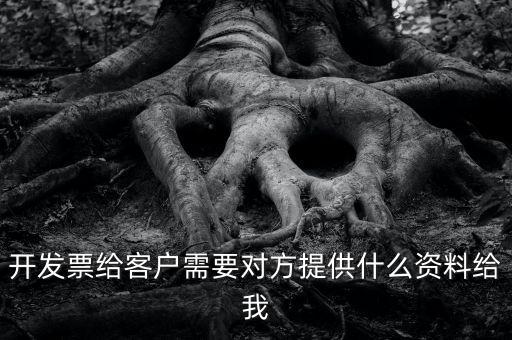 開票需要對方提供什么資料嗎，開發(fā)票給客戶需要對方提供什么資料給我