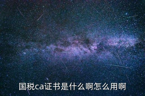 報(bào)稅的ca證書(shū)什么樣，稅務(wù)ca是什么意思是聯(lián)通ca證書(shū)嗎