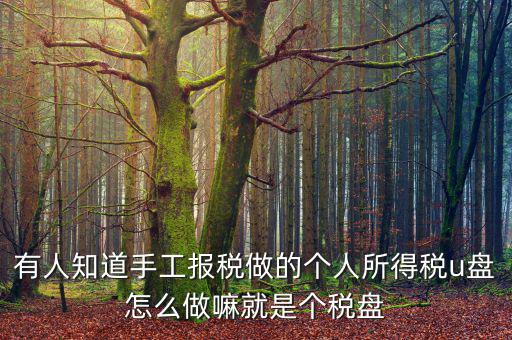 繳個(gè)稅用什么盤申報(bào)，個(gè)人所得稅報(bào)盤怎么弄