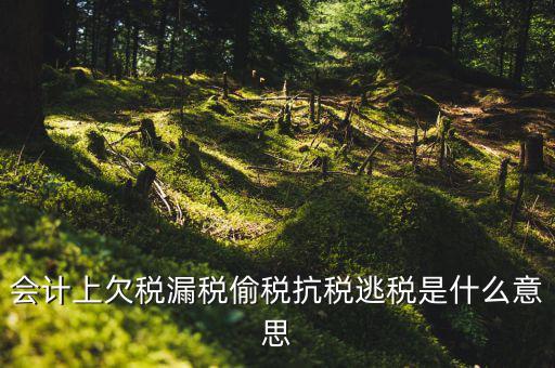 欠繳稅額是什么意思，增值稅申報(bào)表第26欄實(shí)收出口開具專用繳款書退稅額指的是什么