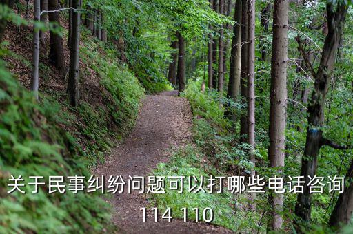 關(guān)于民事糾紛問(wèn)題可以打哪些電話(huà)咨詢(xún)114 110