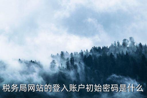 國稅網(wǎng)上登陸密碼是什么，稅務(wù)局網(wǎng)站的登入賬戶初始密碼是什么