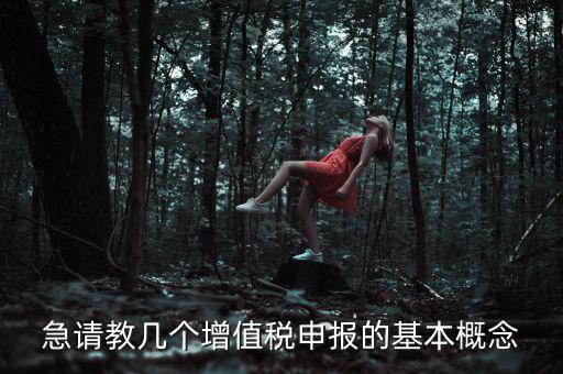 增值稅申報(bào)是什么意思，增值稅申報(bào)什么意思