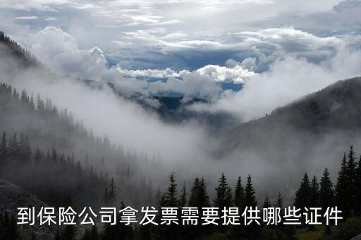 保險開專票需要什么資料，中國人壽保險打發(fā)票要什么手續(xù)