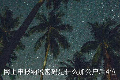 網(wǎng)上如何申報(bào)國(guó)稅密碼是什么，國(guó)稅第一次網(wǎng)上申報(bào)的登陸密碼是什么