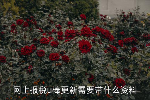 稅務(wù)u棒長什么樣，網(wǎng)上報稅u棒更新需要帶什么資料