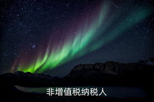 什么叫非一般納稅人，不是一般納稅人可以開專票嗎