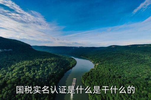國稅實名認證是什么是干什么的