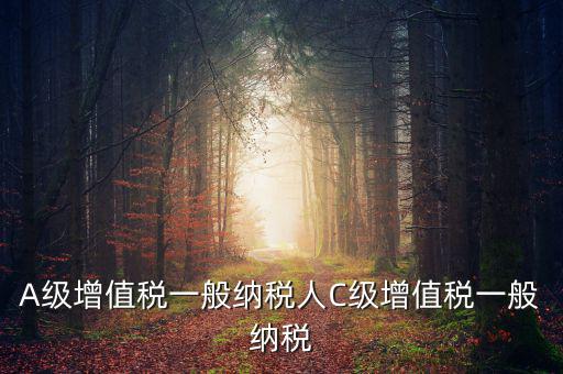 b級納稅人是什么意思，A級增值稅一般納稅人C級增值稅一般納稅