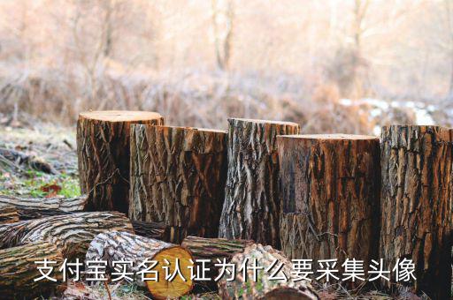 為什么要實名采集，會計人員為什么要信息采集