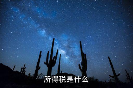 什么是額外所得稅，所得稅是什么