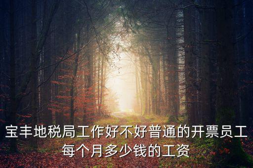 寶豐國稅局局長叫什么，寶豐三分局移動營業(yè)廳地址在哪里